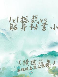 1v1总裁vs贴身秘书小说