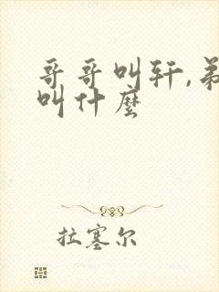 哥哥叫轩,弟弟叫什么