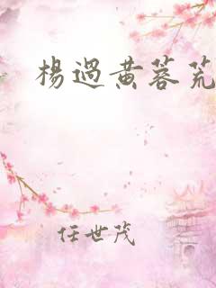 杨过黄蓉荒岛