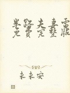 半路夫妻电视剧免费完整版观看高清