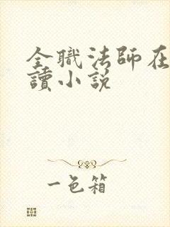 全职法师在线阅读小说