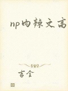 np肉辣文高h