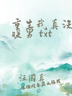 重生我真没想当暖男 txt
