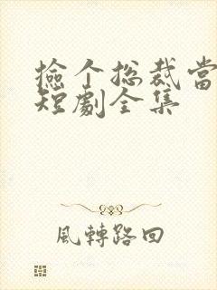 捡个总裁当老公短剧全集