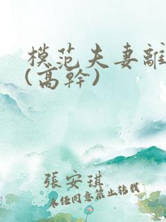 模范夫妻离婚了(高干)