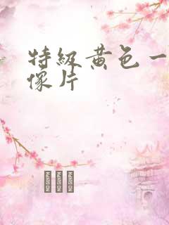 特级黄色一级录像片