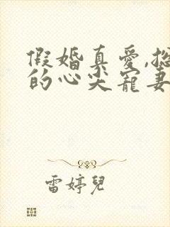 假婚真爱,总裁的心尖宠妻