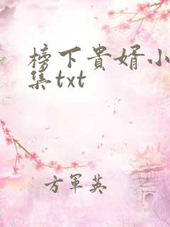 榜下贵婿小说全集txt