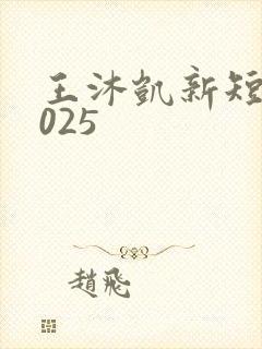 王沐凯新短剧2025