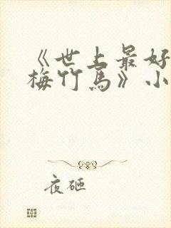 《世上最好的青梅竹马》小说