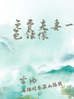 免费夫妻一级黄色录像