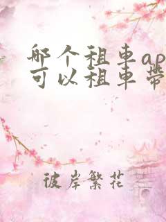 哪个租车app可以租车带司机