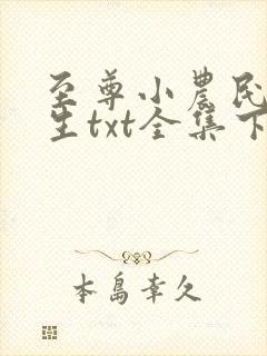 至尊小农民王木生txt全集下载