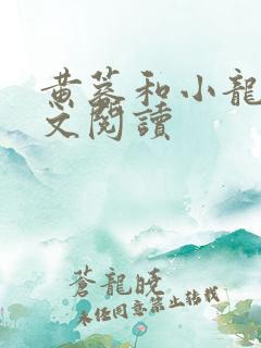 黄蓉和小龙女全文阅读