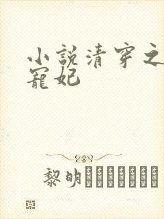 小说清穿之四爷宠妃