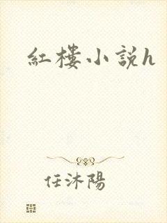 红楼小说h