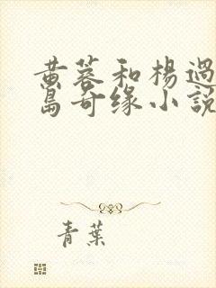 黄蓉和杨过的荒岛奇缘小说