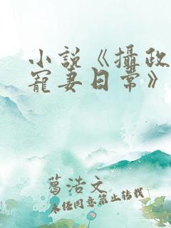 小说《摄政王的宠妻日常》