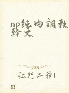 np纯肉调教高干文