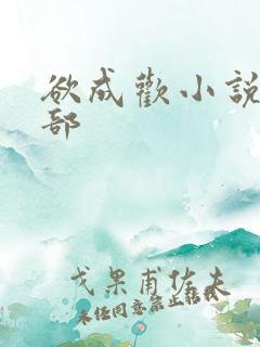 欲成欢小说第四部