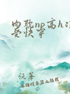 肉耽np高h浪受快穿
