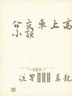 公交车上高潮了小说