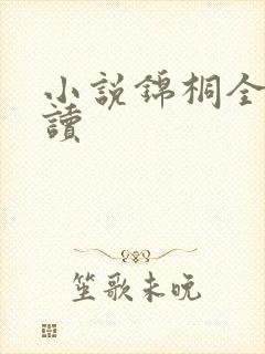 小说锦桐全文阅读