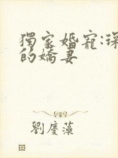 独家婚宠:琛少的娇妻