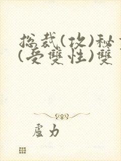 总裁(攻)秘书(受双性)双男主