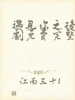 遇见你之后电视剧免费完整版