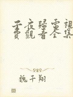 子夜归电视剧免费观看全集高清第27