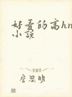 好看的高hnp小说