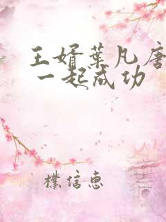 王婿叶凡唐若雪 一起成功