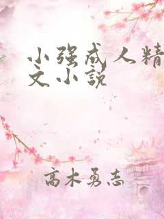 小强成人精品辣文小说