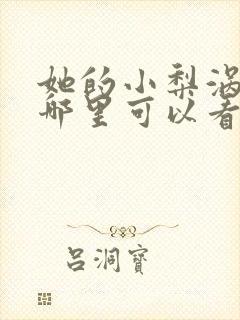 她的小梨涡小说哪里可以看完整版