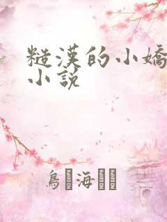 糙汉的小娇娘 小说