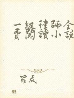 一级律师全文免费阅读小说