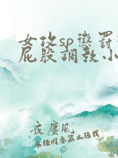 女攻sp惩罚打屁股调教小说