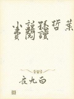 小说孙哲叶巧免费阅读