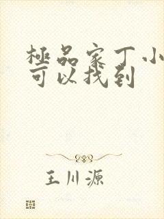 极品家丁小说哪可以找到