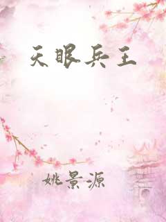 天眼兵王