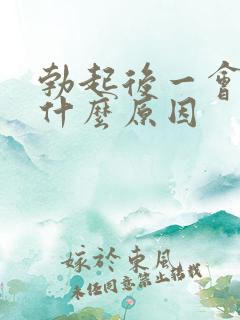 勃起后一会就软什么原因