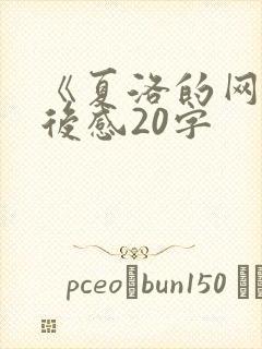 《夏洛的网》读后感20字
