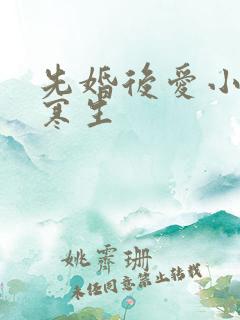 先婚后爱小说秋寒生
