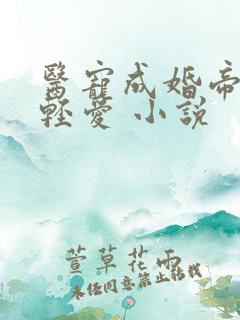 医宠成婚帝少轻轻爱 小说