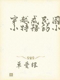 穿越成民国底层小特务的小说