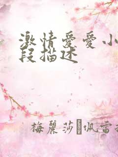 激情爱爱小说片段描述