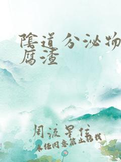 阴道分泌物是豆腐渣