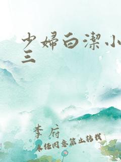少妇白洁小说陈三
