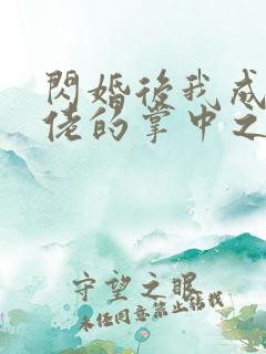 闪婚后我成了大佬的掌中之